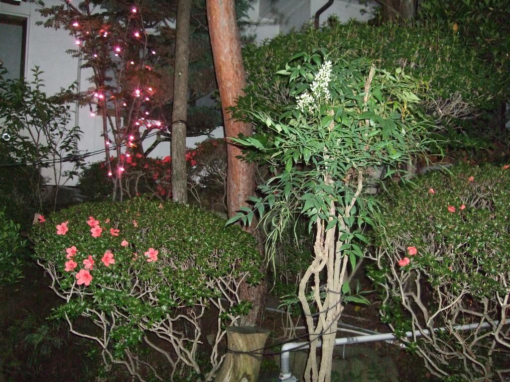 Marunaka Ryokan Matsumoto Exterior foto
